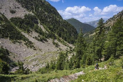 France, Alpes-Maritimes, Parc National du Mercantour (Mercantour national park), Haute Vesubie, Saint Martin Vesubie, Val du Haut Boréon, hikers on the way to the Trecolpas lake