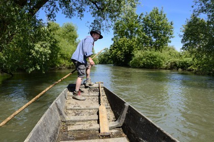 France, Bas-Rhin (67), région d'Ebersmunster et Muttersholtz, le Grand Ried, le batelier Patrick Unterstock dans une barque à fond plat en bois sur la rivière l'Ill