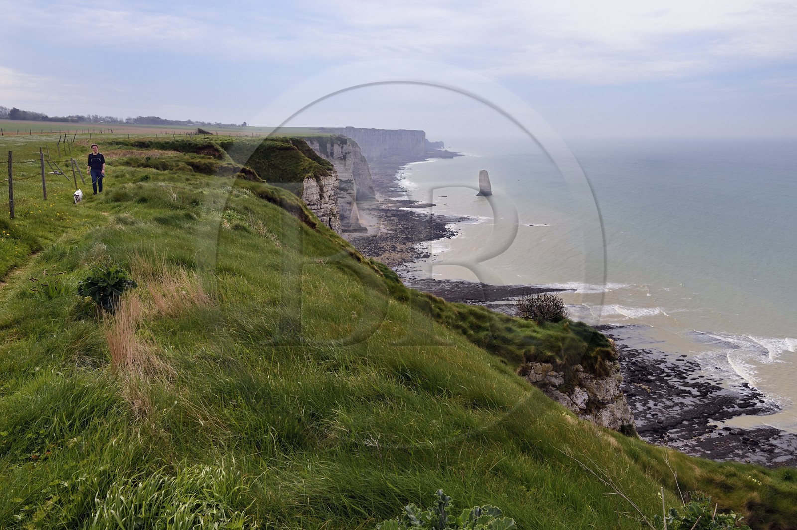 France, Seine-Maritime (76), Pays de Caux, Côte d'Albâtre, randonneur sur le GR21 entre Etretat et Yport, aiguille de Belval et falaise à marée basse