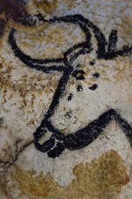 France, Dordogne, Montignac, the Atelier des Fac-Similés du Périgord (Perigord's Facsimile Workshop AFSP) specialised in mineral reproduction of prehistoric painted walls using “stone veil” patented technique and in charge of the Lascaux cave’s walls faithfull reconstitution, Aurochs, compulsory mention Atelier des Fac-Similés du Perigord