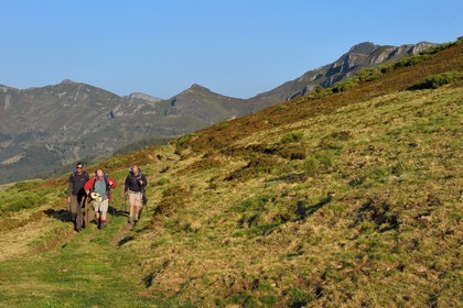 France, Cantal (15), Parc Naturel Régional des Volcans d'Auvergne, Le Lioran, col de Rombière, randonneurs sur le chemin de Saint-Jacques de Compostelle par la Via Arverna, le puy et les Fours de Peyre Arse en arrière plan