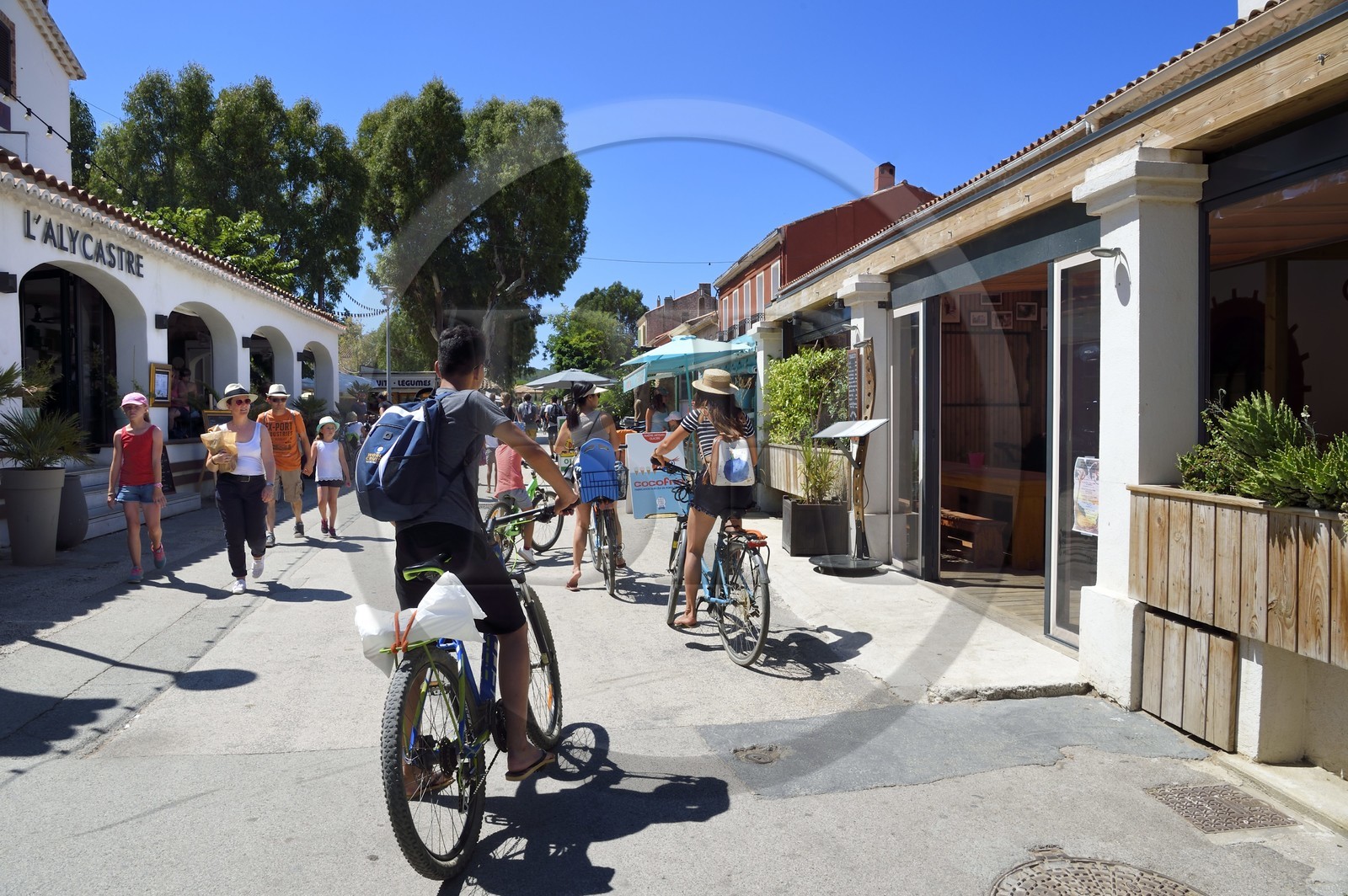 France, Var (83), Iles d'Hyères, parc national de Port Cros, Ile de Porquerolles, village de Porquerolles, terrasses de restaurant dans la rue principale