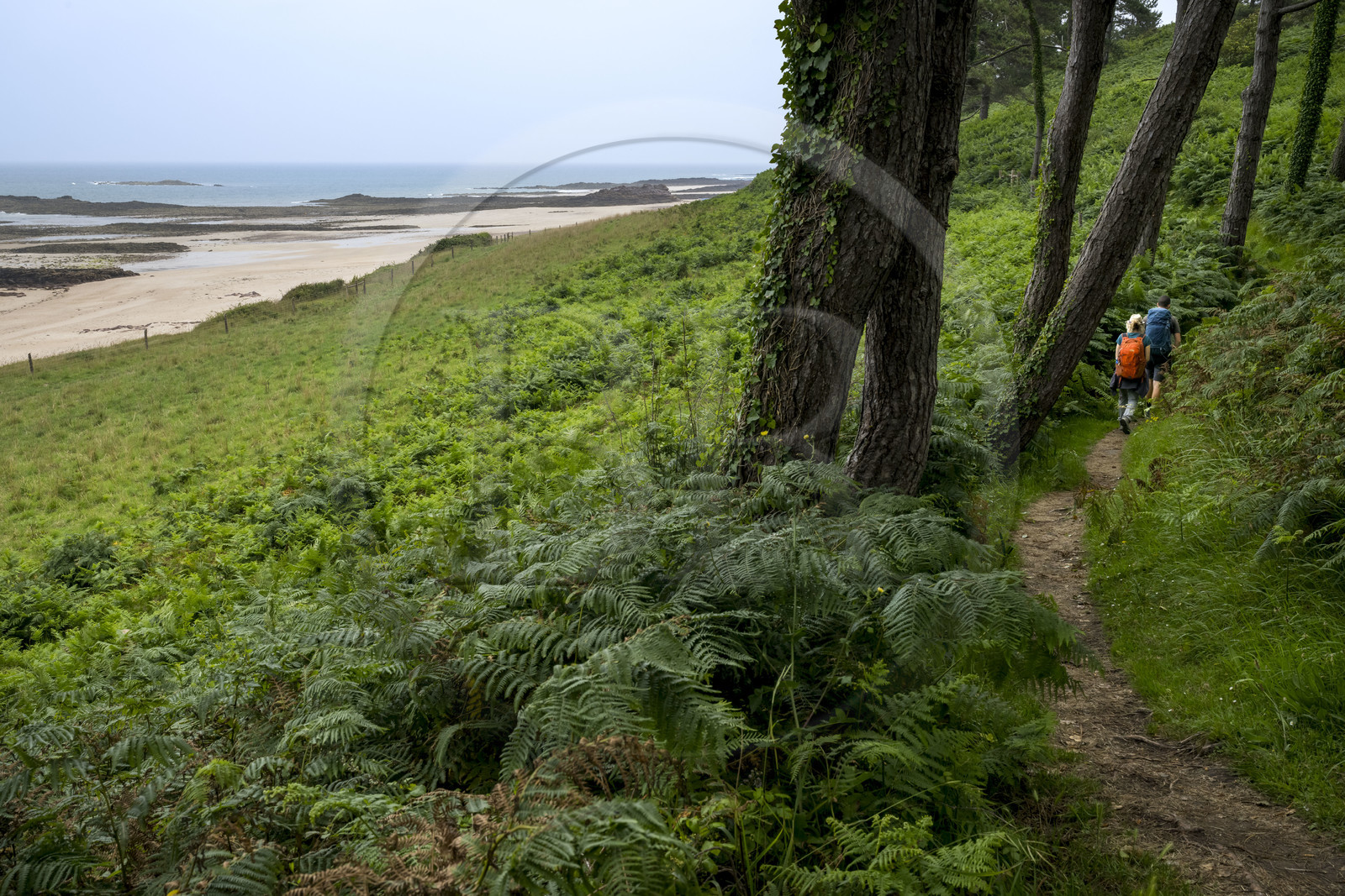 France, Côtes d'Armor (22), Grand Site de France Cap d'Erquy – Cap Fréhel, Erquy, randonneurs sur le chemin de Grande Randonnée GR34 en bordure de la plage du Guen