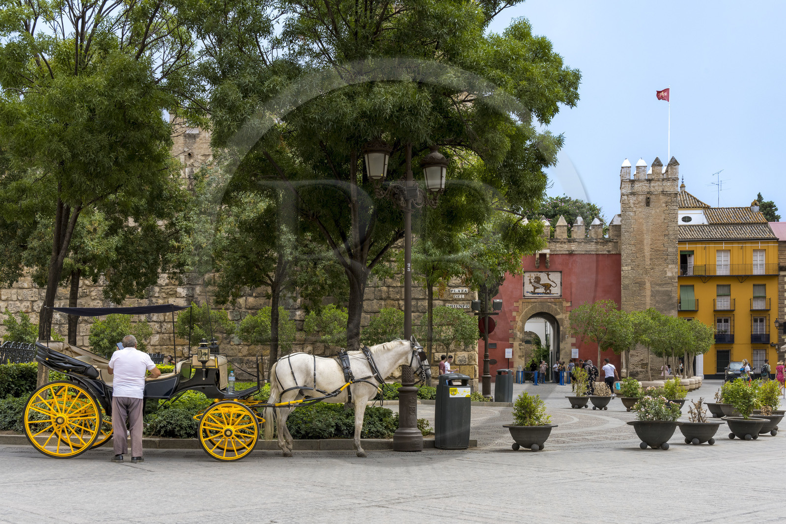 Spain, Andalusia, Seville, the Alcazar of Seville (Reales Alcazares de Sevilla), listed as World Heritage by UNESCO, the outer wall, carriage in front of the Lion Gate