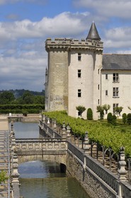 France, Indre et Loire, Loire Valley listed as World Heritage by UNESCO, Chateau de Villandry, the castle and the gardens, owned by Henry and Angelica Carvallo