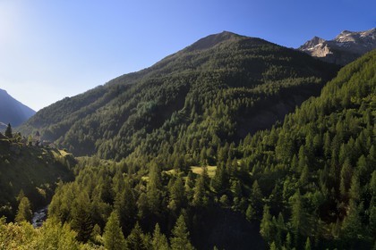 France, Alpes de Haute Provence, Uvernet Fours, Mercantour mountain range, Ubaye valley, Bachelard valley towars the Cayolle pass (2326 m), Fours church bell tower