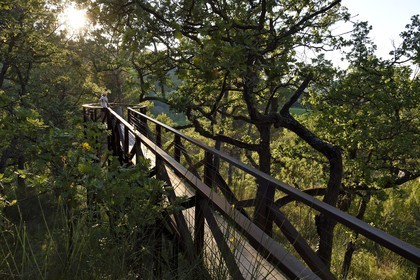 France, Bouches-du-Rhône (13),  Le Puy Sainte Réparade, Chateau La Coste domaine viticole et centre d'art contemporain, Self-portrait: Cat inside a Barrel par l'artiste Tracey Emin (Mention Obligatoire)