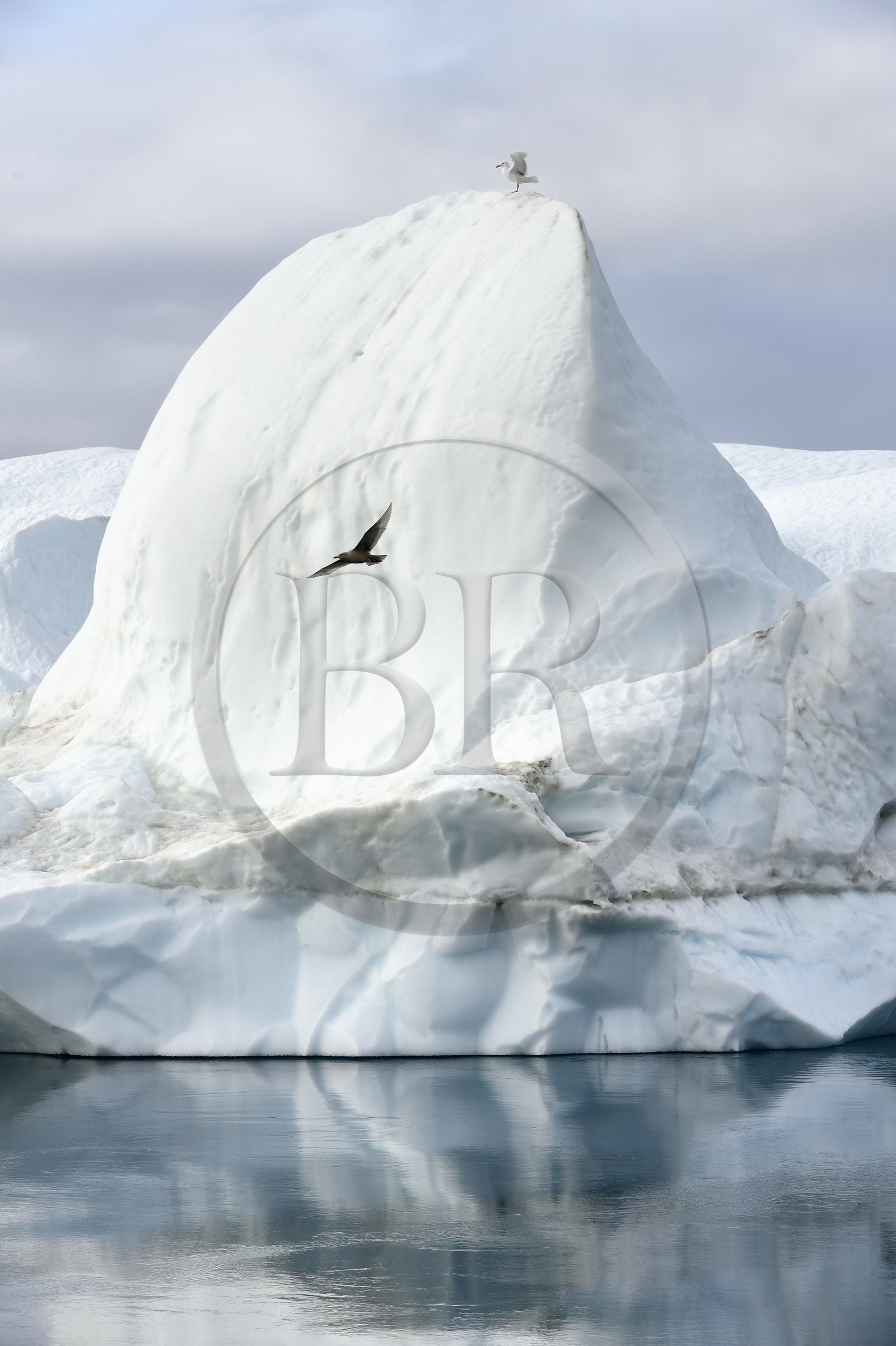 Groenland, cote ouest, baie de Disko, Ilulissat, fjord glacé classé Patrimoine Mondial de l'UNESCO qui est l’embouchure maritime du glacier Sermeq Kujalleq