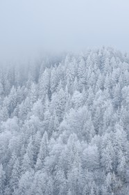 France, Haute-Savoie (74), Morzine