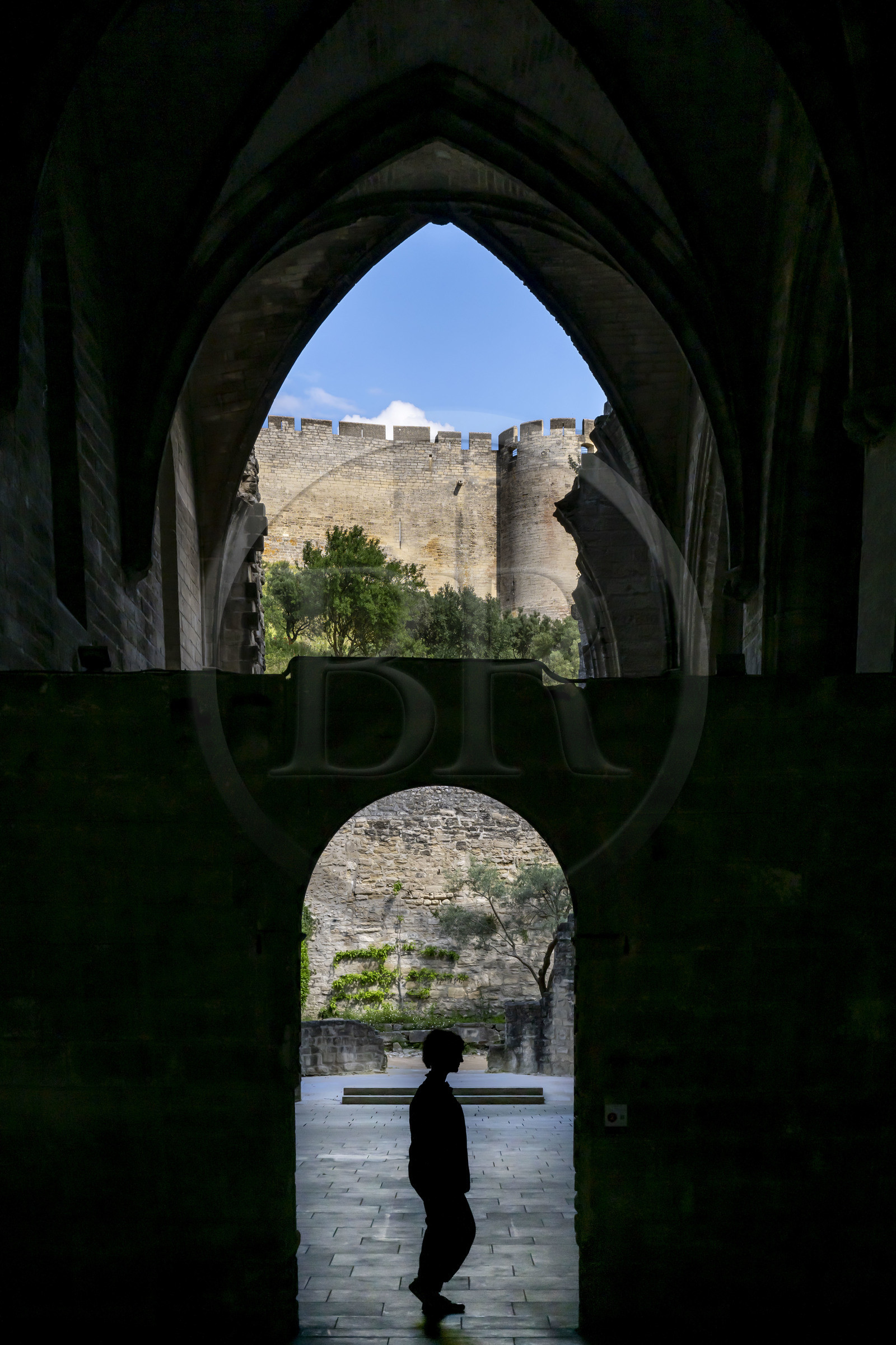 France, Gard, Villeneuve les Avignon, the Charterhouse of Val de Benediction, ruins of the convent church overlooked by Fort Saint André