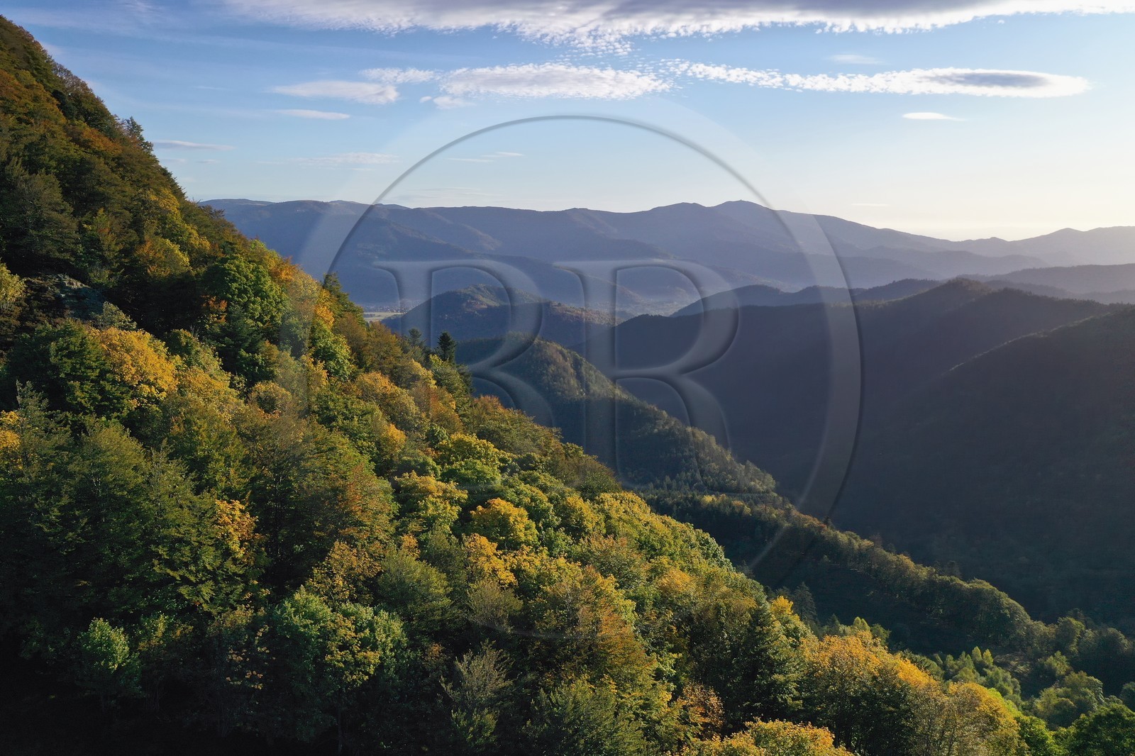 France, Haut-Rhin (68), Parc naturel r