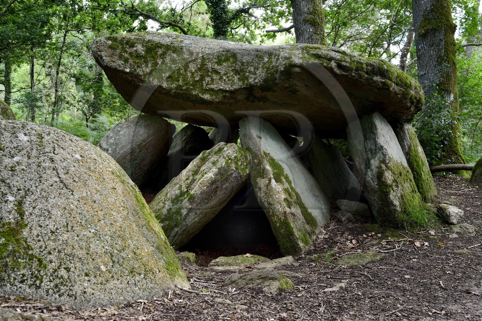 France, Morbihan, Trédion, Loge au loup dolmen, probably more then 4500 years old