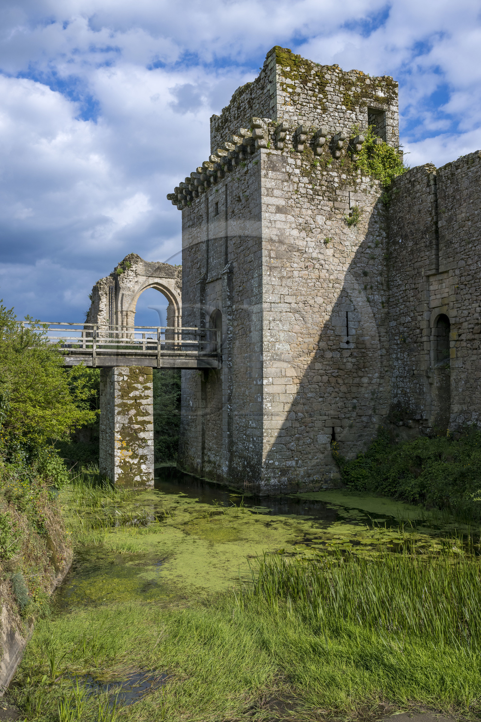 France, Vendée (85), Tiffauges, le chateau de Tiffauges,  ancien chateau fort en ruines où résida Gilles de Rais
