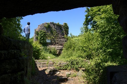 France, Bas-Rhin (67),  Saverne, chateau du Petit Geroldseck du XIIIème siècle