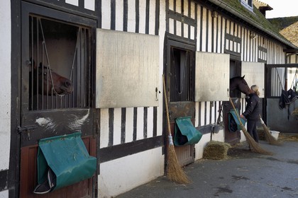 France, Calvados, Pays d'Auge, Deauville, Racecourse of Deauville-La Touques, the stables