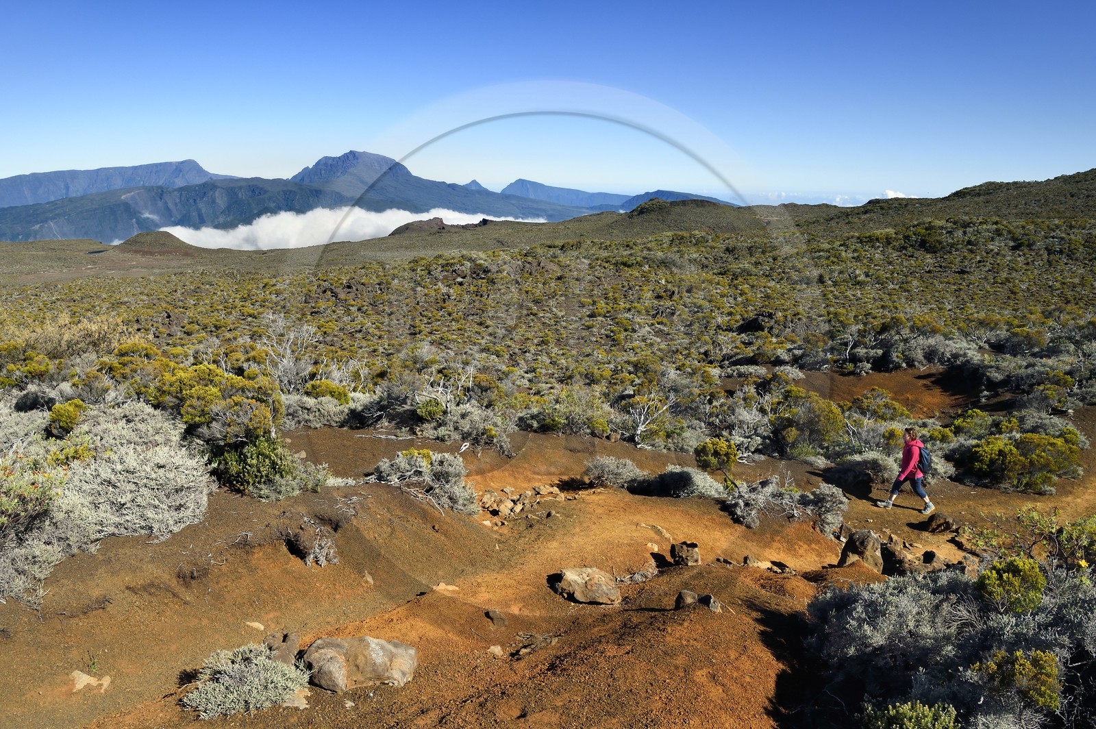France, Ile de la Reunion, Parc National de la Réunion classé Patrimoine Mondial de l'UNESCO, sur les pentes du volcan de Piton de la Fournaise, randonneur sur le sentier de l'oratoire Ste Thérèse couvert de lapillis au dessus de la Plaine des Sables, le Piton des Neiges en arrière plan au nord