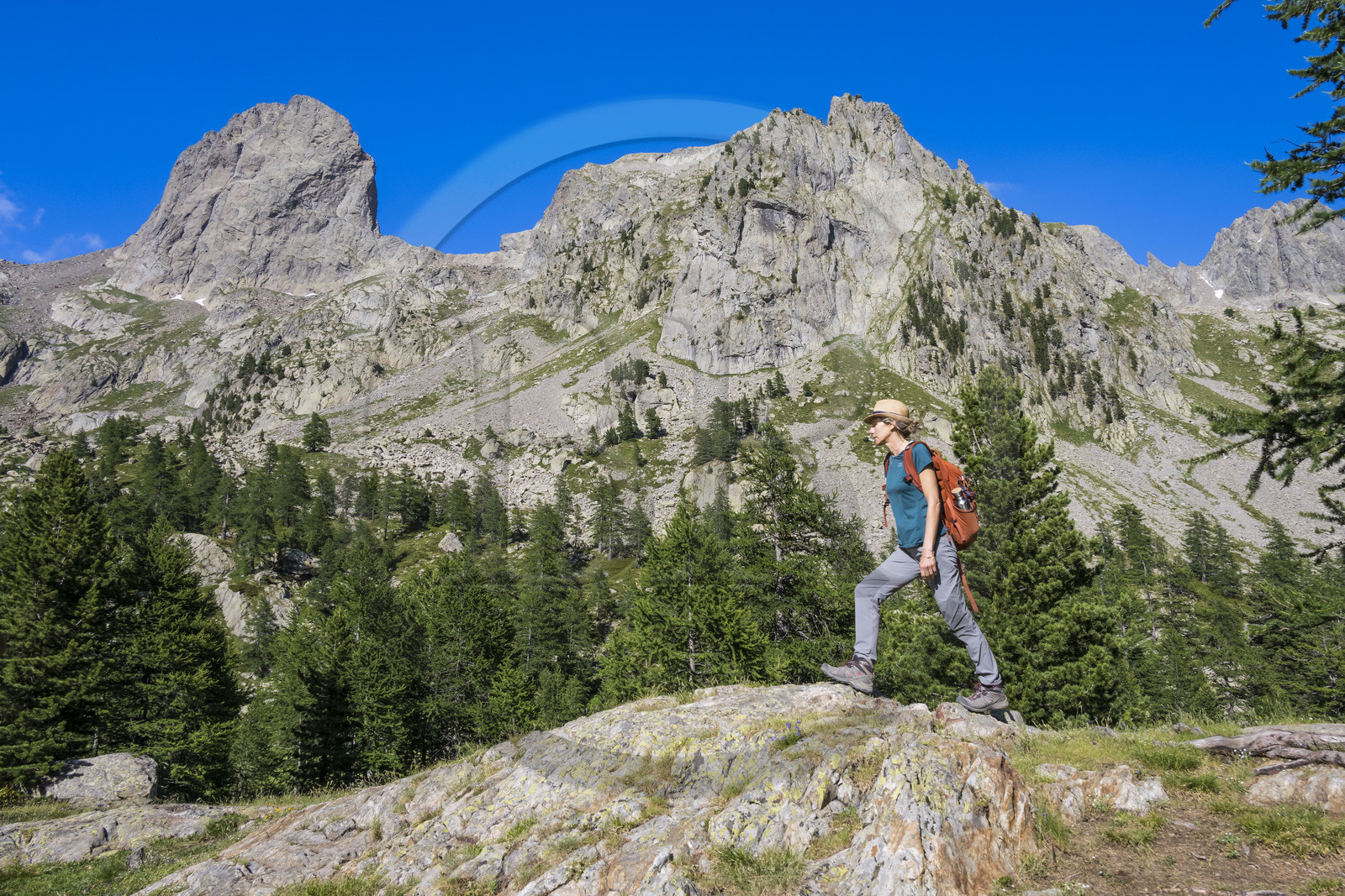 France, Alpes-Maritimes (06), parc national du Mercantour, Haute-Vésubie, Saint-Martin-Vésubie, Val du Haut Boréon, randonneuse au lac des Sagnes vers le refuge de Cougourde, le sommet frontalier du Caïres de Cougourde (2892m) en arrière plan