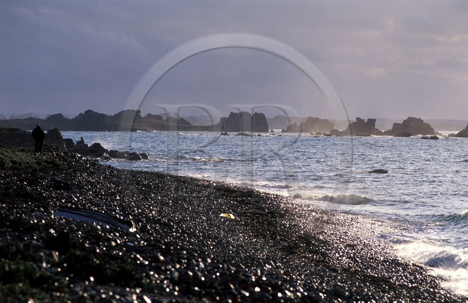 France, Côtes-d'Armor (22), la Presqu'île Sauvage dans la région de Tréguier