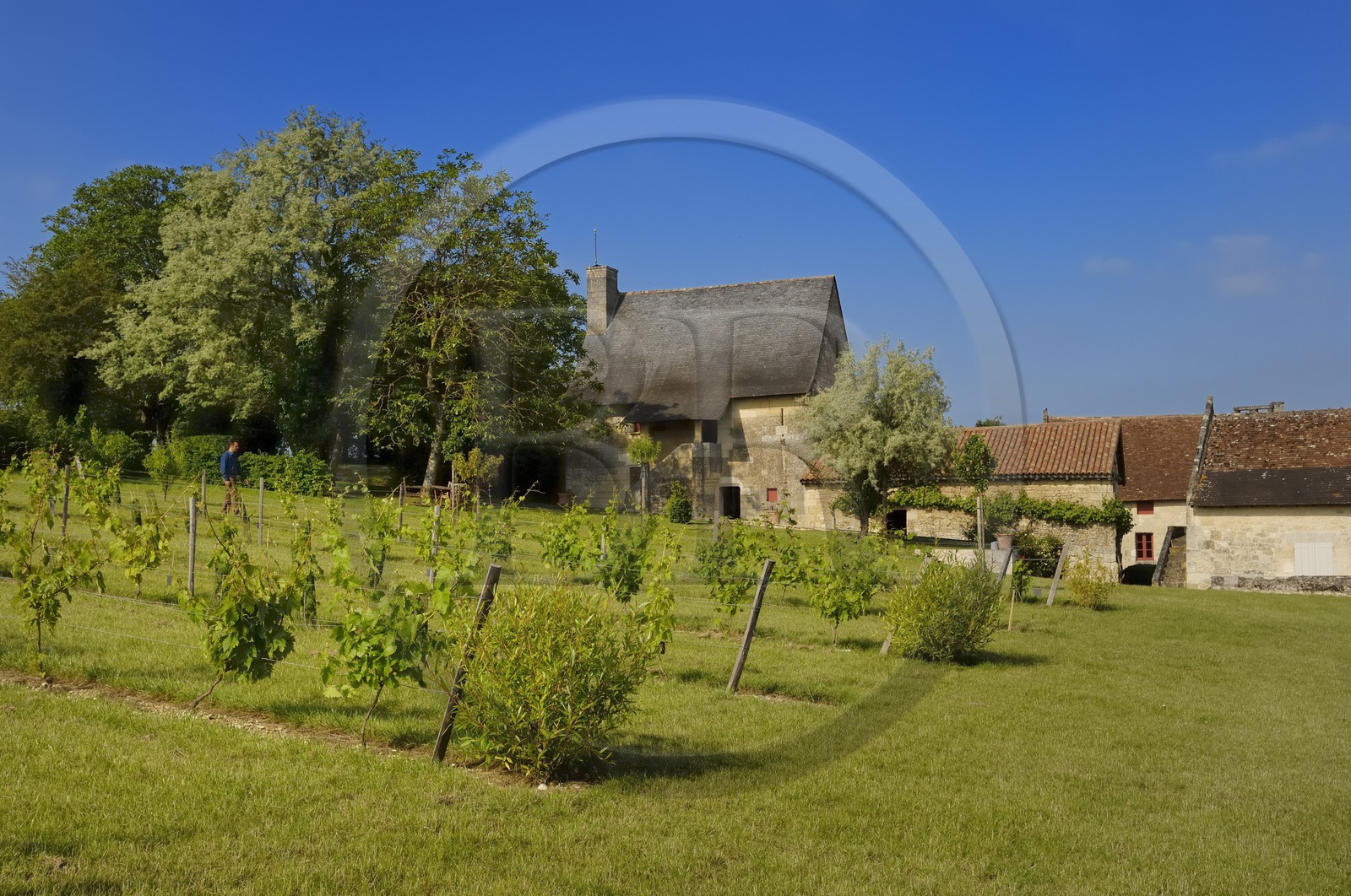 France, Indre-et-Loire (37), Vallée de la Loire classée Patrimoine Mondial de l' UNESCO,  Seuilly, La Devinière, maison de François Rabelais