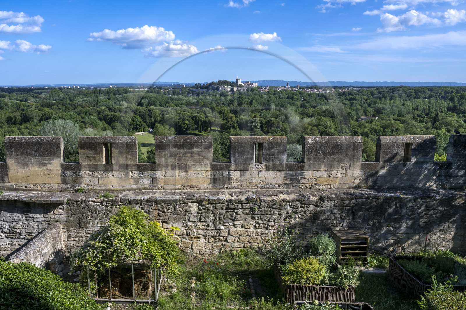 France (30), Gard, Villeneuve-lès-Avignon, jardins de l'ancienne abbaye bénédictine de Saint André derrière les remparts du Fort Saint André, le Palais des Papes classé Patrimoine mondial de l’UNESCO à Avignon en arrière plan
