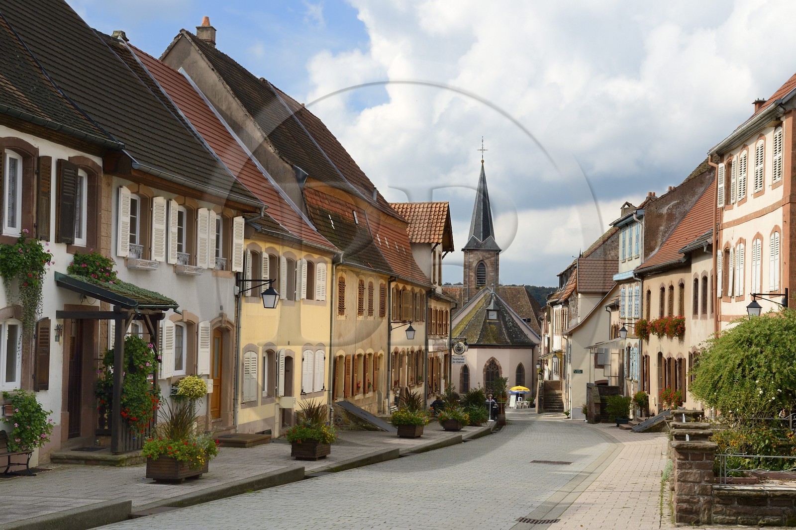 France, Bas-Rhin (67), parc régional des Vosges du nord, La Petite Pierre, rue principale