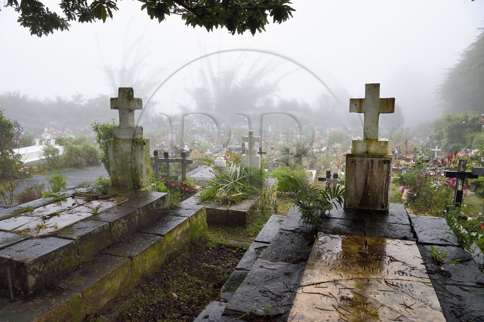 France, Ile de la Reunion, Cirque de Salazie, classé Patrimoine Mondial de l'UNESCO, Hell-Bourg, labellisé les Plus Beaux Villages de France, le cimetière constitué de tombes en pleine terre fleuries naturellement