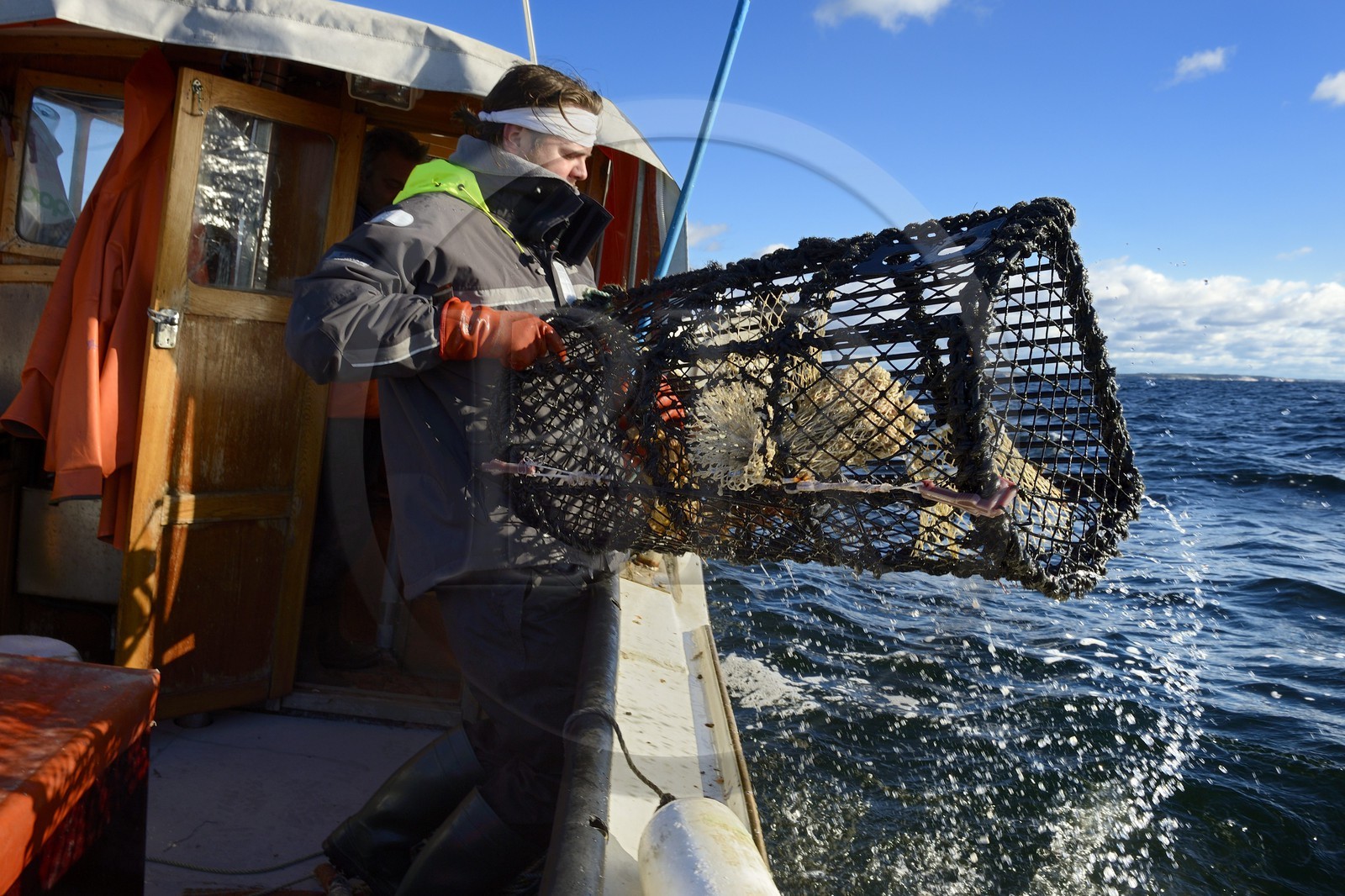 Suède, Västra Götaland, Iles Koster, sortie en mer pour récupérer les casiers à homards