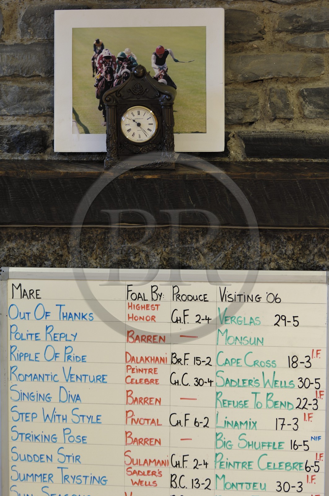 Irlande, Co. Kildare, Maynooth, harras de Moyglare (Stud), liste des Etalons présent dans le harras