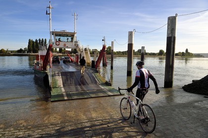 France, Seine-Maritime (76), Parc naturel régional des Boucles de la Seine normande, traversée du bac auto au village de La Bouille, cycliste sur la veloroute du Val de Seine