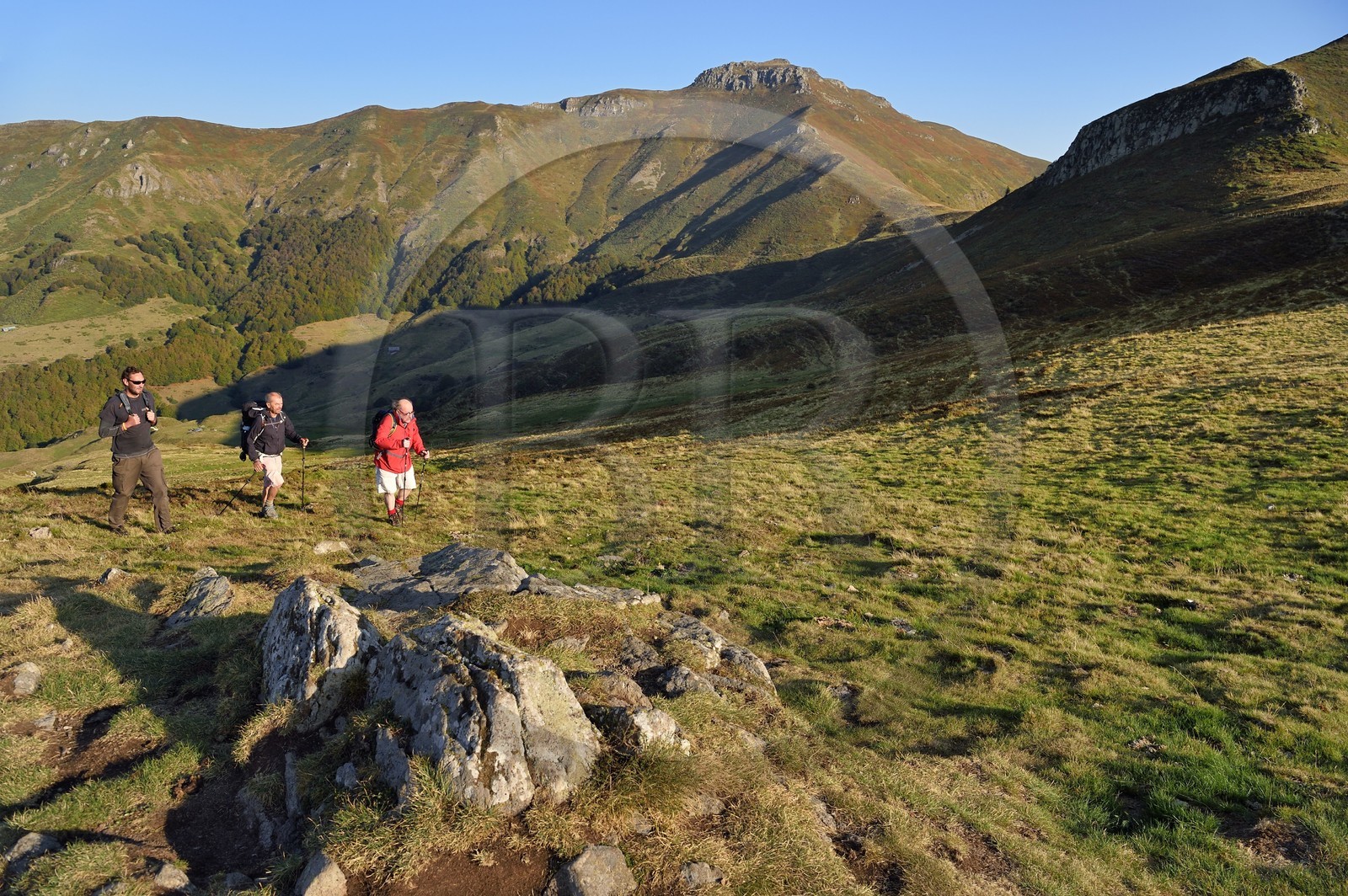 France, Cantal (15), Parc Naturel Régional des Volcans d'Auvergne, Le Lioran, col de Rombière, randonneurs sur le chemin de Saint-Jacques de Compostelle par la Via Arverna, le puy et les Fours de Peyre Arse en arrière plan