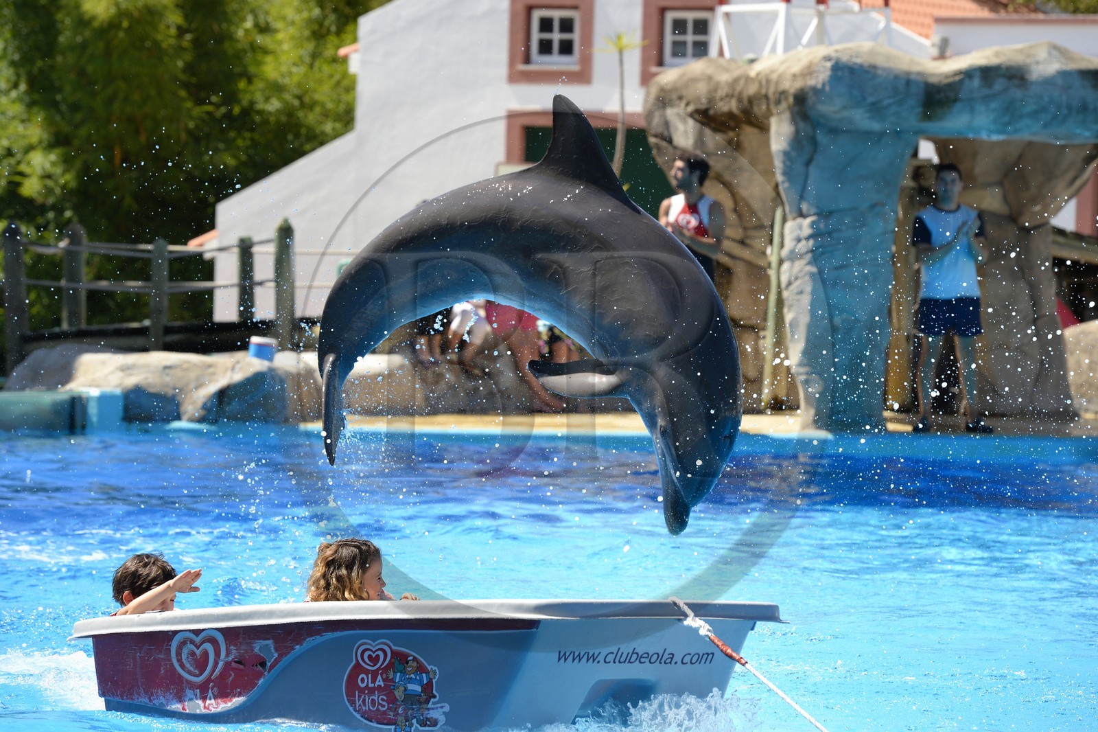 Portugal, Lisbon, Zoological Garden, the Dolphinarium, dolphin making the show