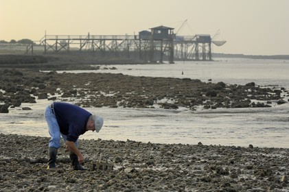 France, Charente-Maritime (17), Ile Madame, pêche à pied et carrelets sur la côte