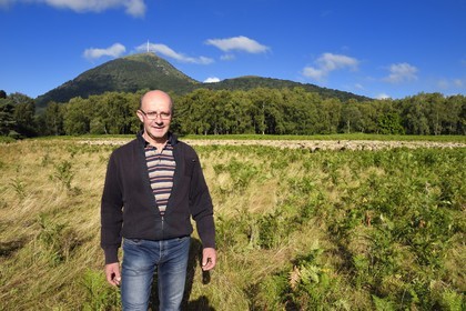 France, Puy de Dome, Parc Naturel Régional des Volcans d'Auvergne (regional nature park of Auvergne volcanoes), Chaine des Puys listed as World heritage by UNESCO, sheep breeder Jean-Luc Tourreix with his flock of Rava sheep at the foot of the Puy de Dôme volcano