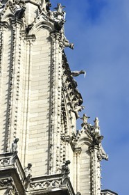 France, Paris (75), les rives de la Seine, classées Patrimoine Mondial de l'UNESCO, la Cathédrale Notre-Dame sous la neige sur l'Ile de la Cité, gargouilles