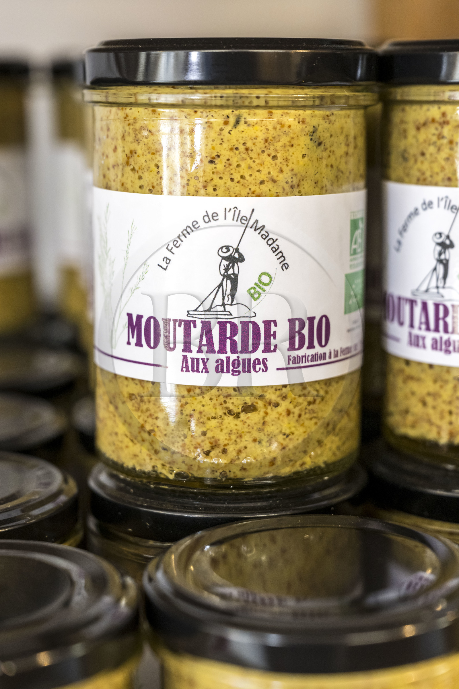France, Charente-Maritime (17), Port-des-Barques, Ile Madame, la Ferme Aquacole de l'Ile Madame, moutarde bio fabriquée sur place
