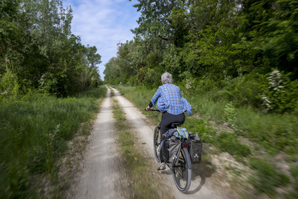 France (30), Gard, Aramon, cycliste sur la véloroute ViaRhona