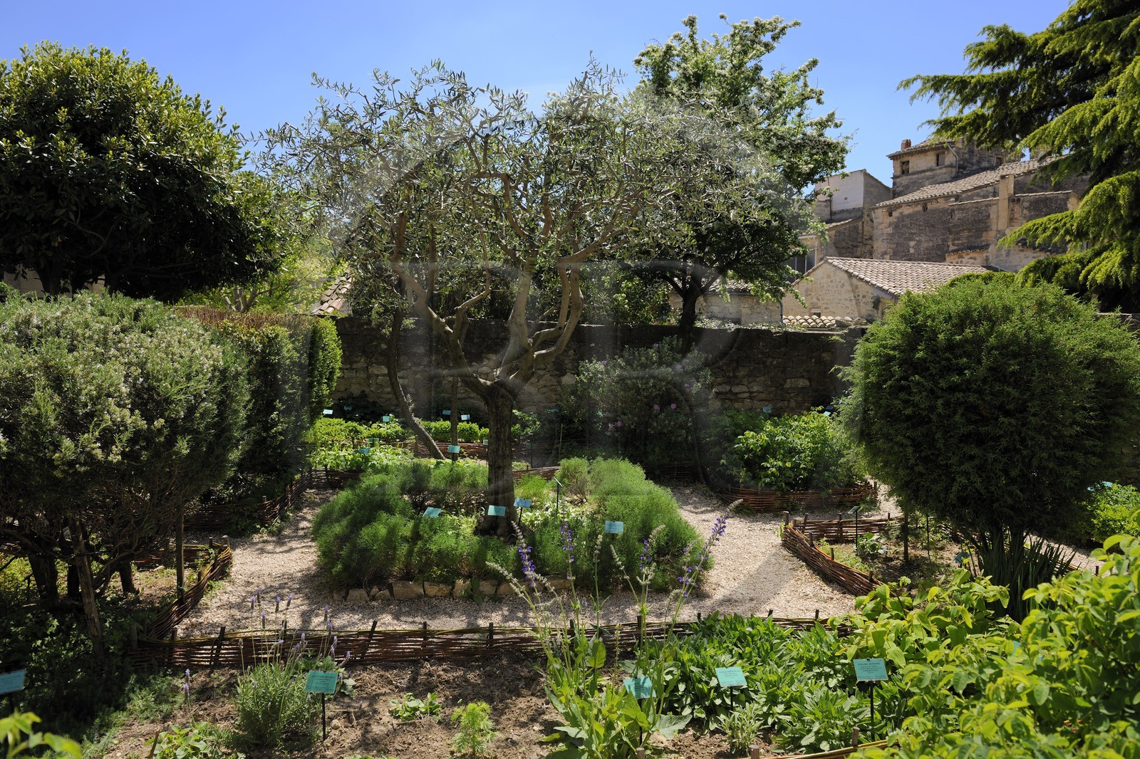 France, Gard (30), Uzès, le jardin médiéval