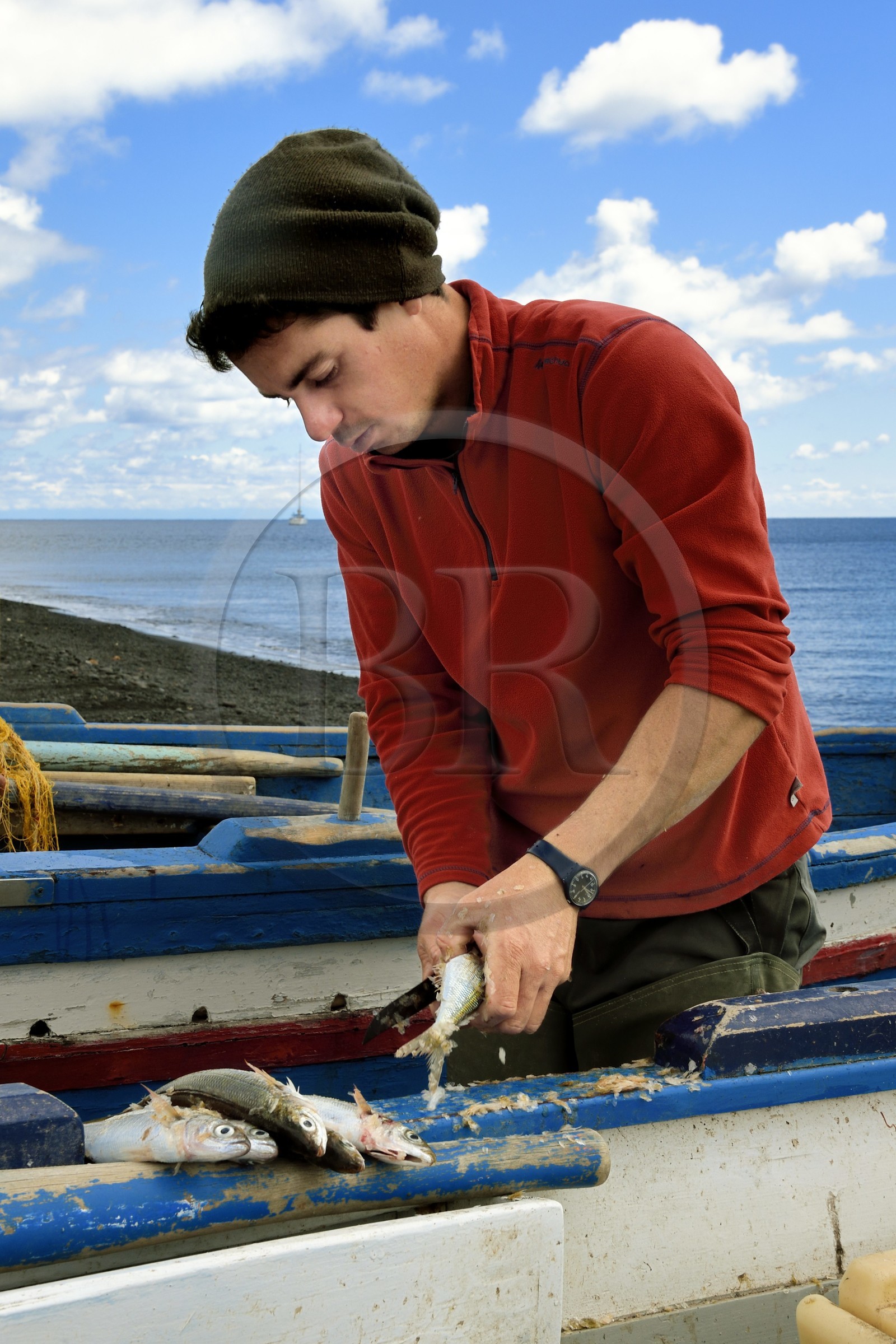 Italie, Sicile, iles Eoliennes, classées Patrimoine Mondial de l'UNESCO, ile de Stromboli, le pecheur Frederico vidant ses poissons sur la plage de Scari