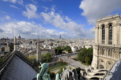 France, Paris (75), les rives de la Seine classées Patrimoine Mondial de l'UNESCO, île de la Cité, la cathédrale Notre-Dame depuis la flèche qui domine les statues de cuivre vert-de-grisé des douze apôtres