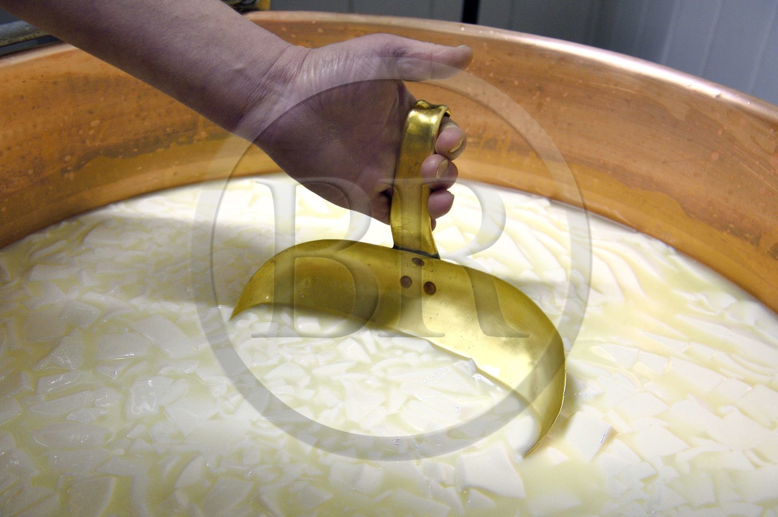 France, Haut Rhin, Wasserbourg, Ferme-auberge (farm-inn) Buchwald, marcaire Michel Wehrey in the production of munster AOP cheese (cow's milk), cutting the curd with a slotted spoon to raise the whey and lower the cheese in the copper cauldron