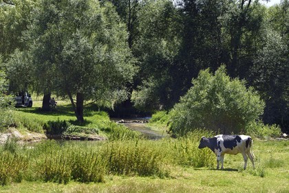 France, Meuse (55), Bannoncourt, pique-nique au bord d'un bras de la Meuse