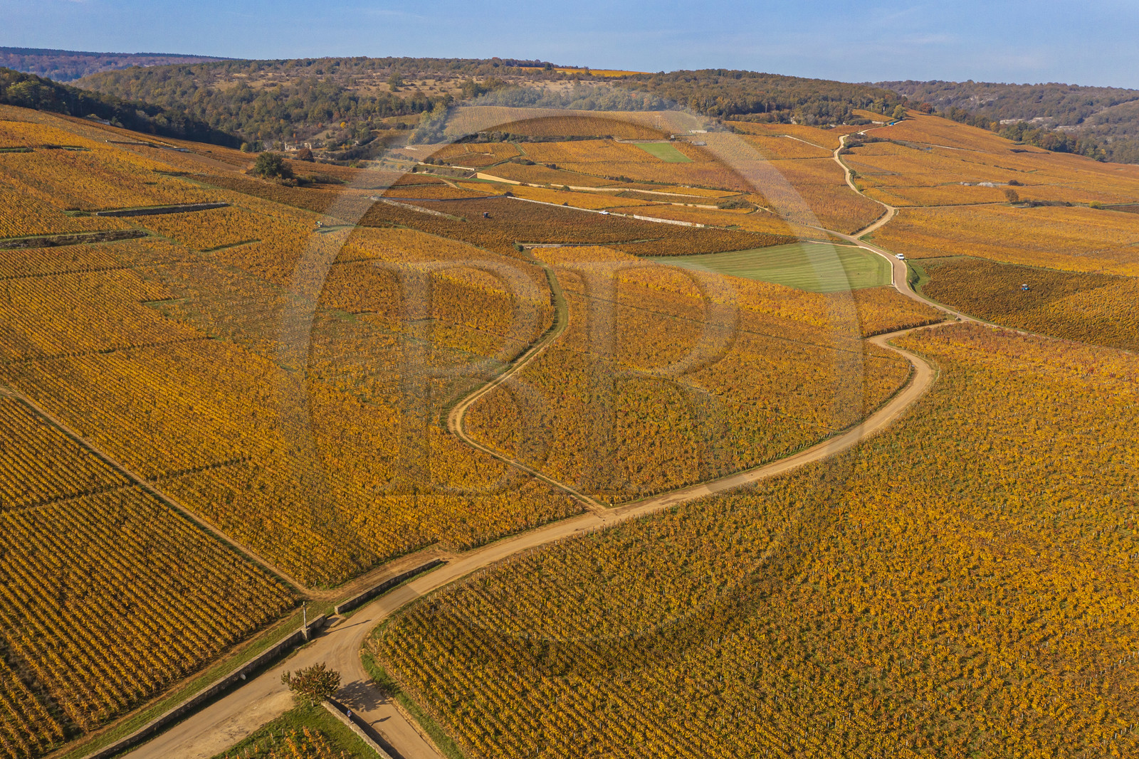 France, Côte-d'Or (21), Paysage culturel des climats de Bourgogne classés Patrimoine Mondial de l'UNESCO, Route des Grands Crus, le vignoble du village de Vosne-Romanée (vue aérienne)