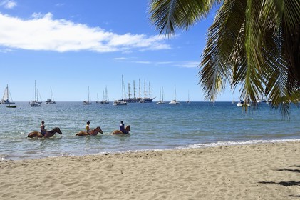 Caraïbes, Ile de la Dominique, Portsmouth, la baie de Prince Rupert, randonnée équestre sur la plage avec un passage dans la mer des Caraïbes