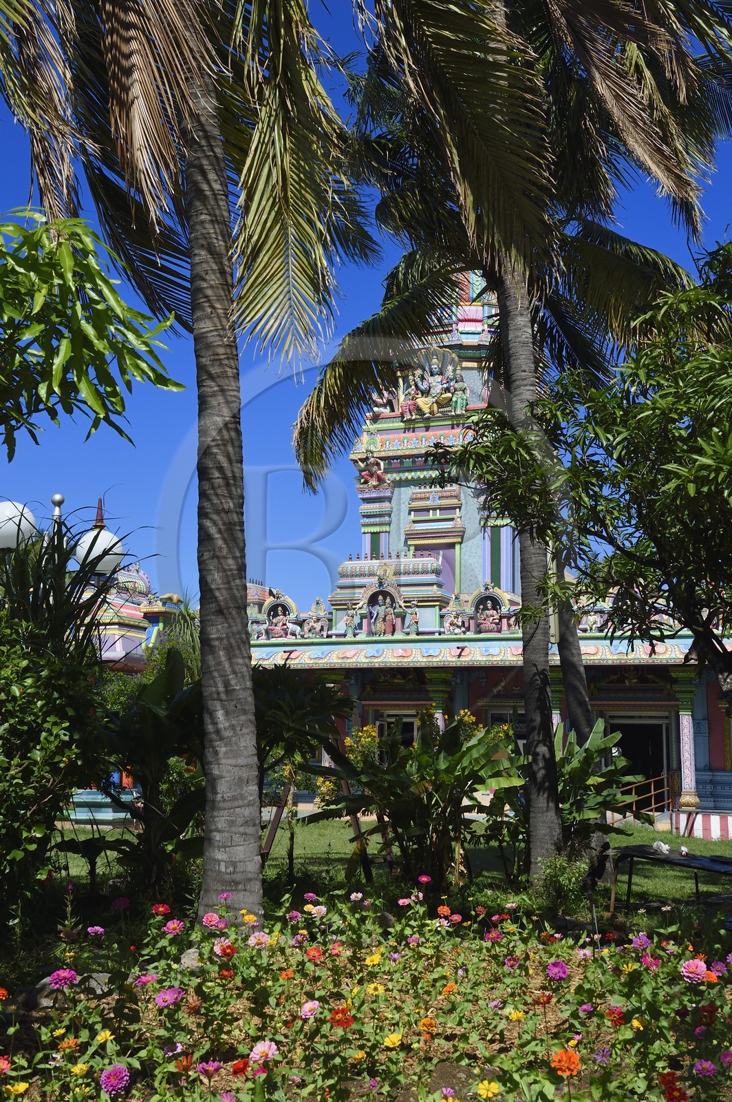 France, Ile de la Reunion, Saint-Pierre, La Ravine Blanche, temple Tamoul Narassingua Perournal