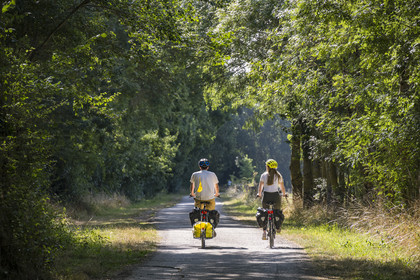 France, Maine-et-Loire (49), vallée de la Loire classée au Patrimoine Mondial par l'UNESCO, Saumur vers Saint-Hilaire, randonnée à bicyclette le long des berges de la Loire sur la piste cyclable La Loire à Vélo, vélo avec une remorque transportant le matériel de camping