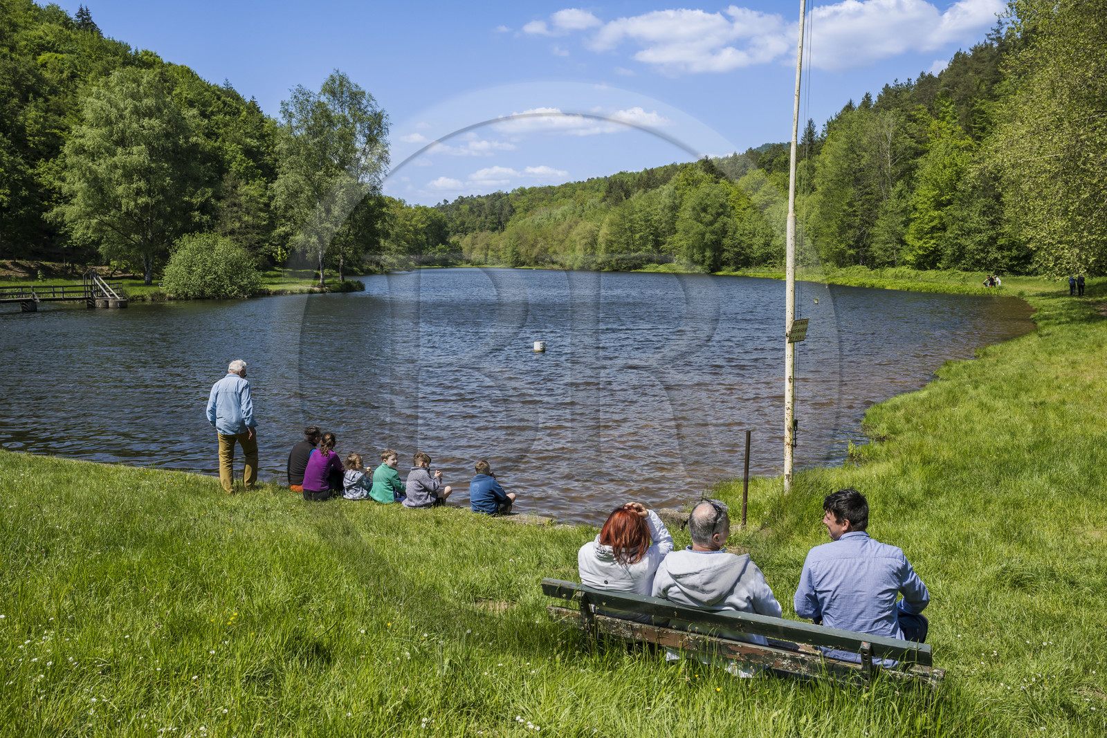 France, Bas-Rhin (67), Parc naturel régional des Vosges du Nord, Lembach, étang du Fleckenstein alimenté par la rivière Sauer