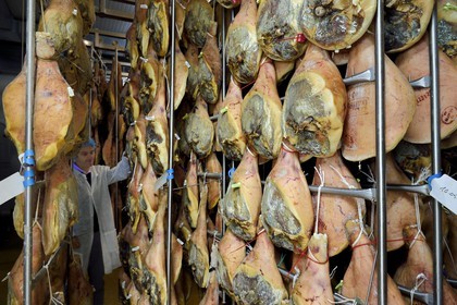 France, Pyrénées-Atlantiques (64), Pays-Basque, vallée des Aldudes, le Séchoir Collectif des Aldudes assure une prestation de séchage et l'affinage de jambons, début du processus du séchage