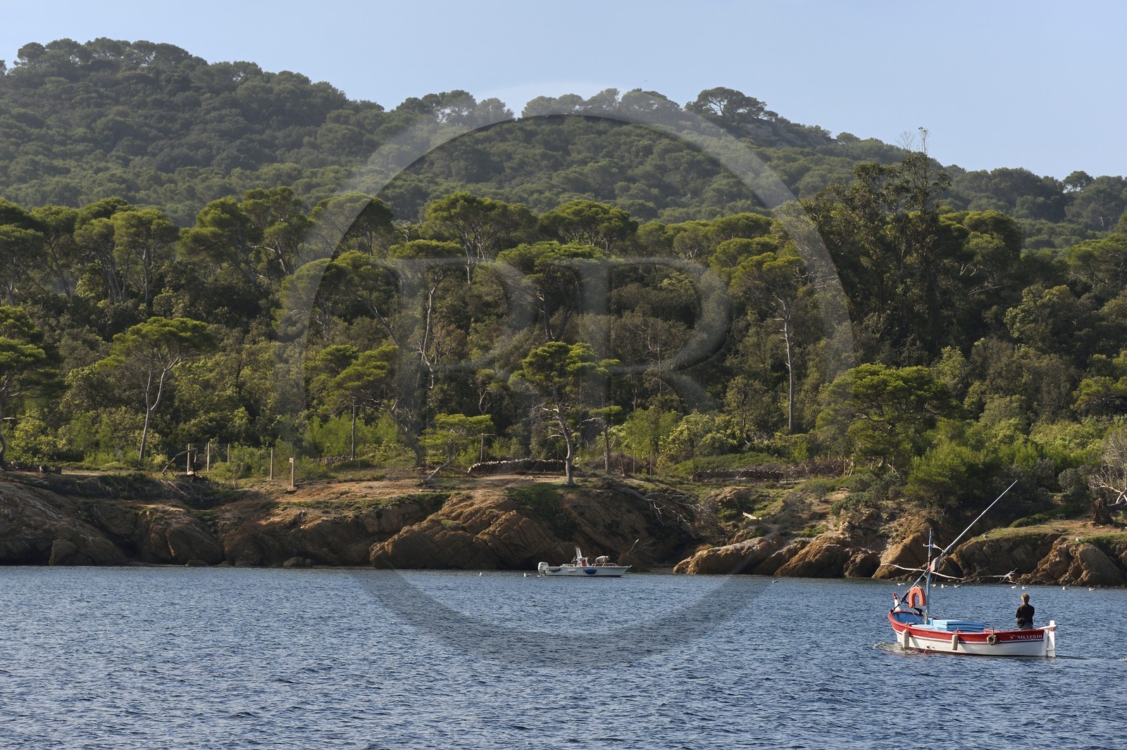 France, Var (83), Iles d'Hyères, parc national de Port Cros, Ile de Porquerolles, la côte Nord vers l'Anse du Bon Renaud