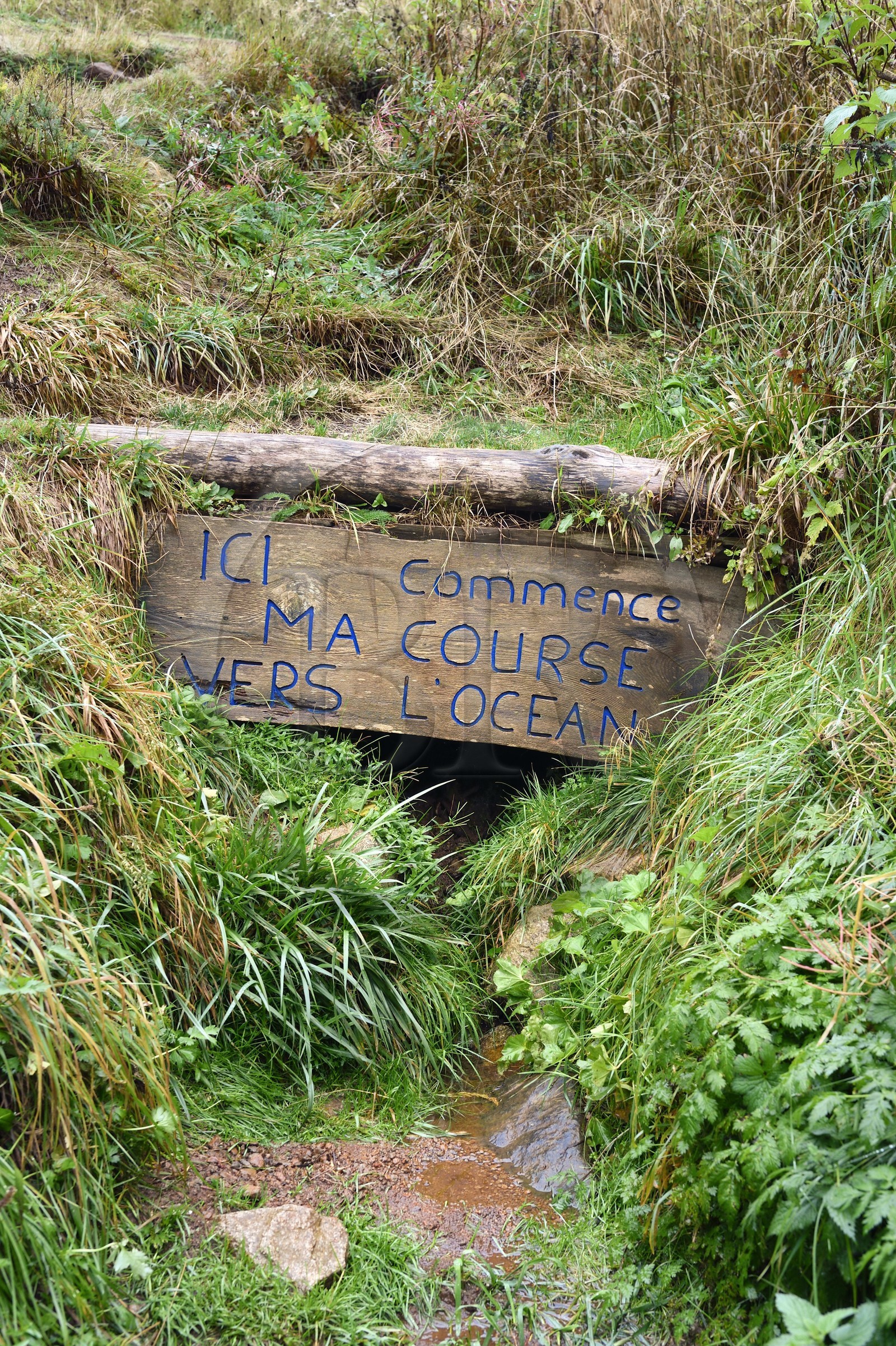 France, Ardèche (07), parc naturel régional des Monts d'Ardèche, Massif du Mézenc, au pied du Mont Gerbier-de-Jonc (1551 m), parmis les trois sources de la Loire, la source véritable qui correspond à la source officielle (carte IGN) indiquée sous la ferme du Sagnas