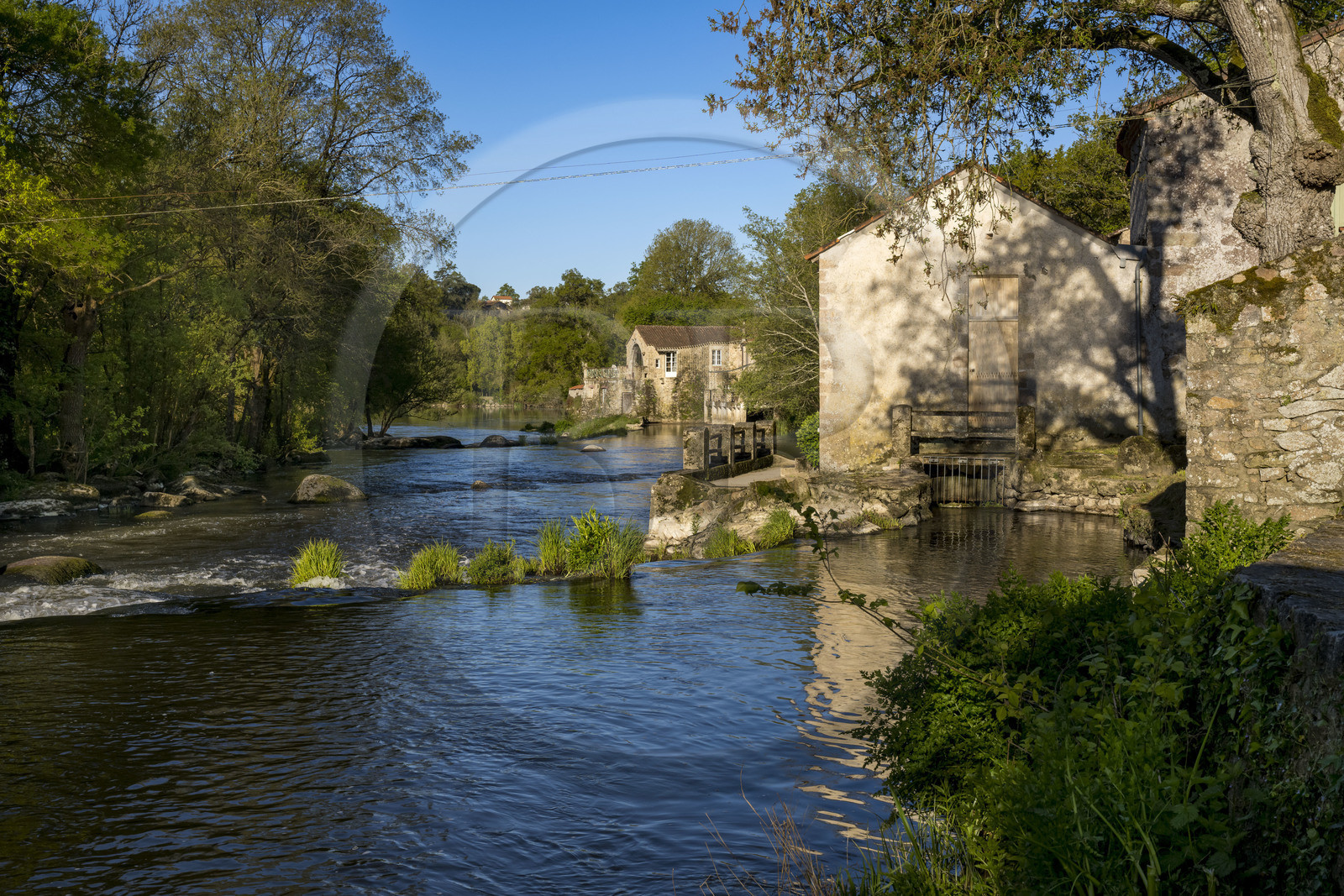 France, Vendee, Mortagne sur Sèvre, old mill in the Sèvre Nantaise river valley